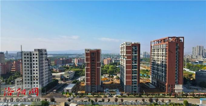 1640075463341887.jpg 640.webp (1).jpg